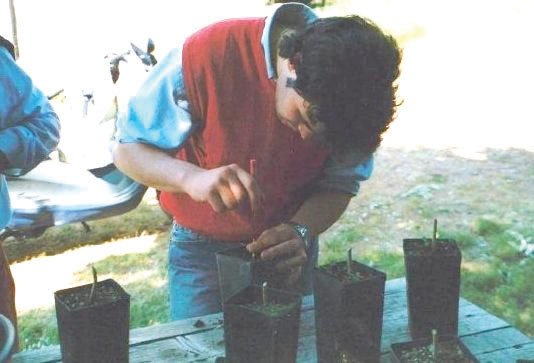 Young Dr. Lorenzo Rossi grafts olive trees as a high school student at Instituto Tecnico Agrano D. Anzilotti in Pescia, Italy, 2003.
